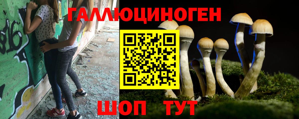 Моздок  Галлюциногенные грибы Psilocybe  Вход с VPN 